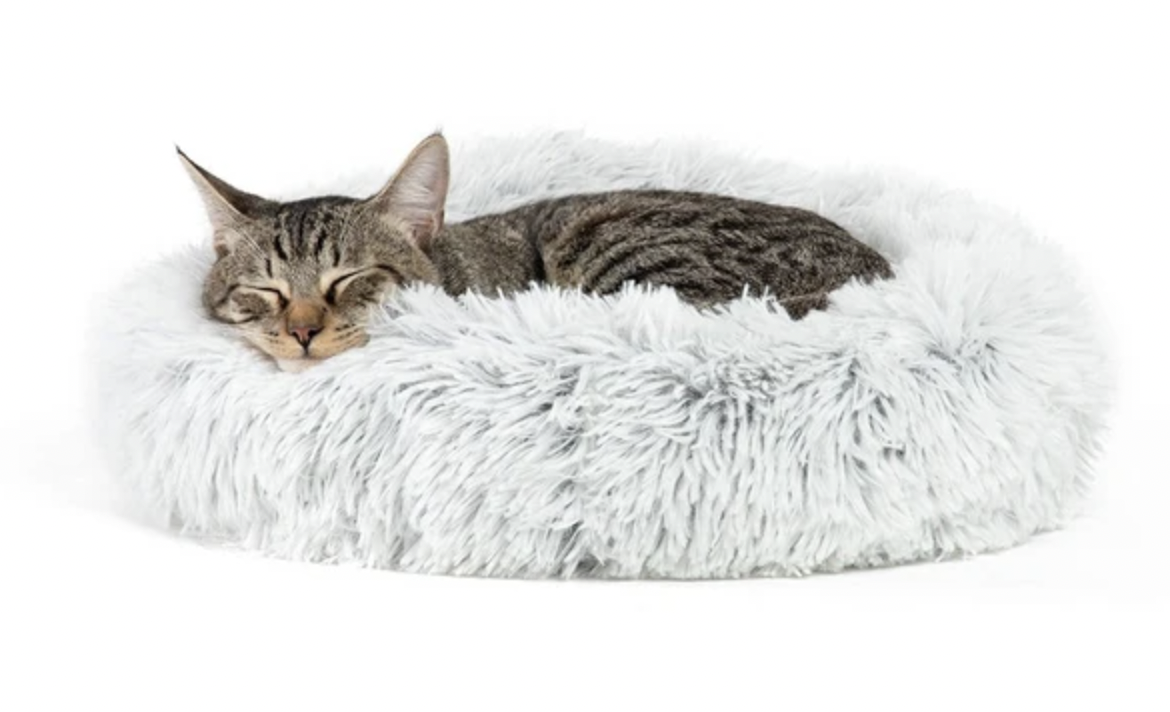 cat body language calming cat bed