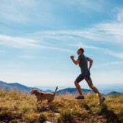 how to train your dog to run with you