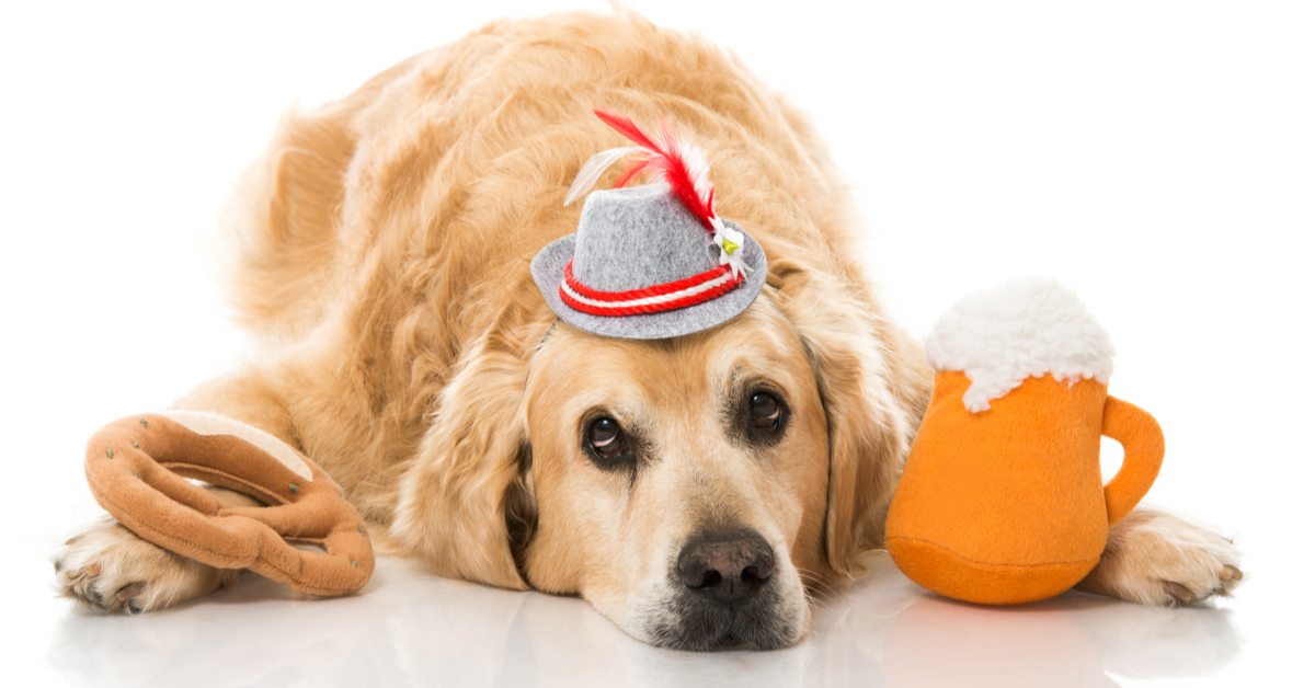 The Wurst Oktoberfest Foods for Dogs