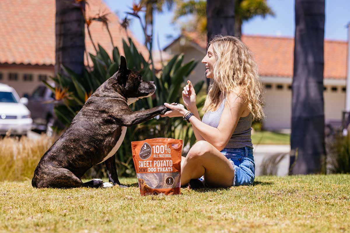 dog and human in park