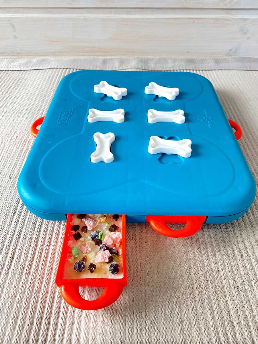 dog casino dog game frozen