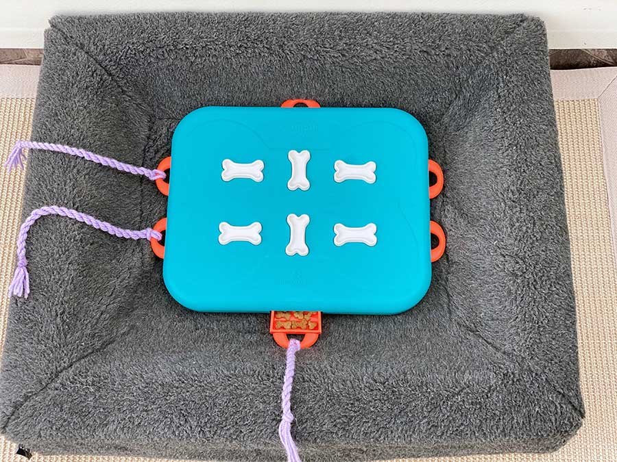 dog game on dog bed