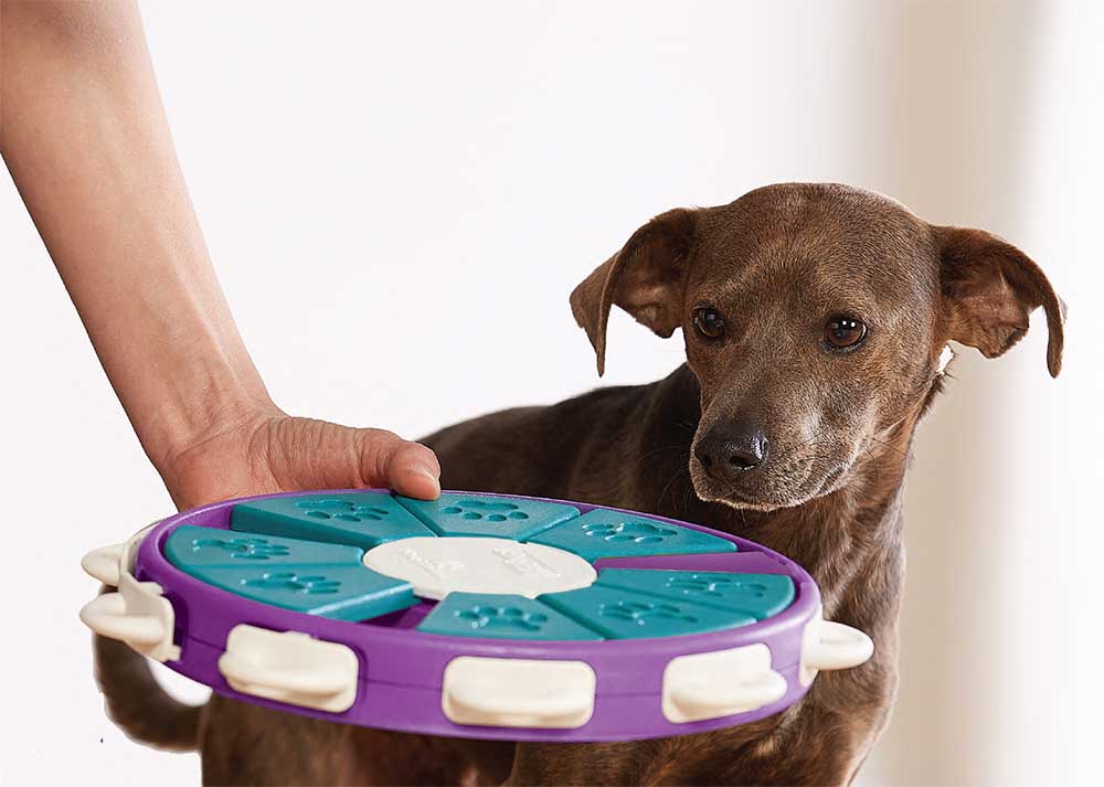 dog twister dog puzzle