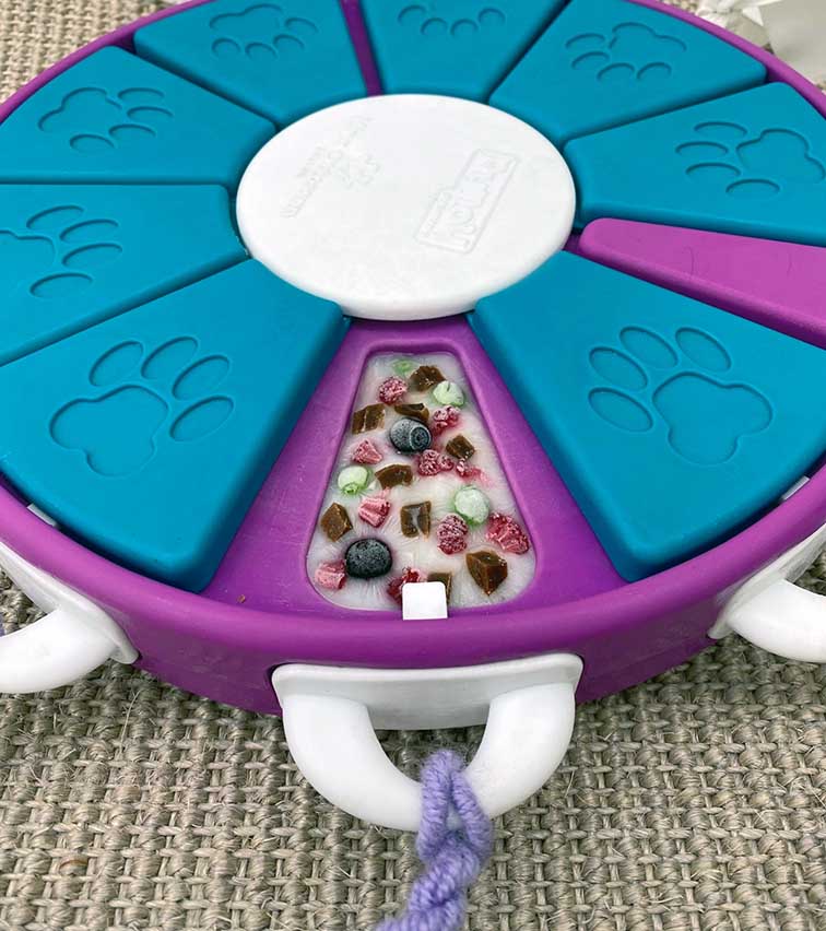 frozen dog twister