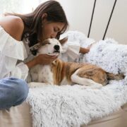 do dogs know you love them