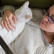 why do cats lay on your chest