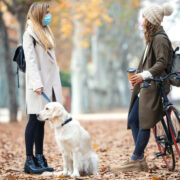 dog socialization