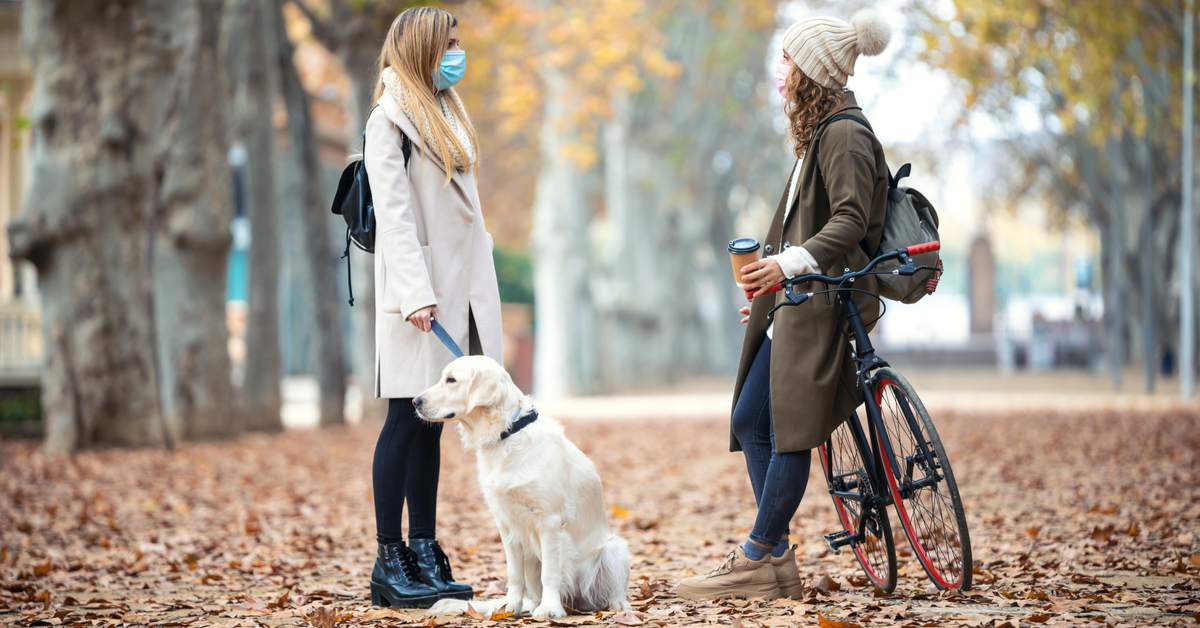 dog socialization