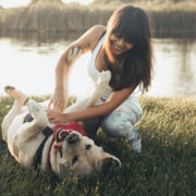 are dogs ticklish