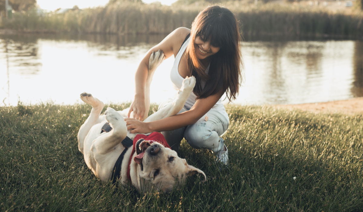 are dogs ticklish