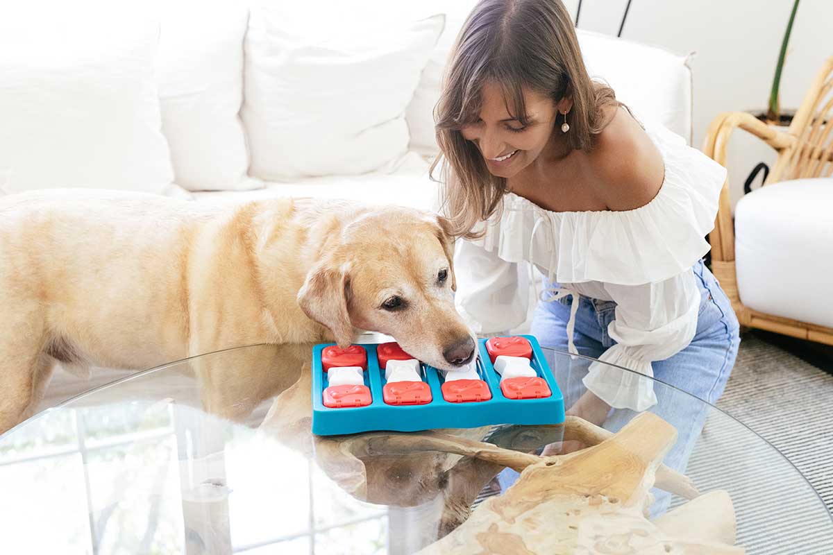 best toys for hunting dogs