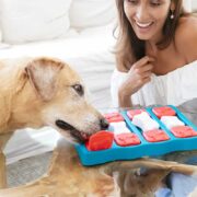dog playing with dog puzzle
