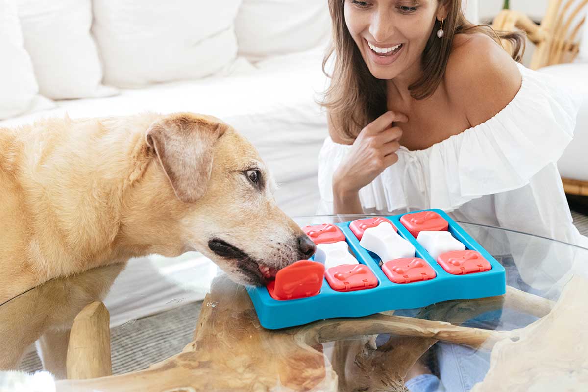 Nina Ottosson’s Tips & Tricks: Hacking the Dog Brick
