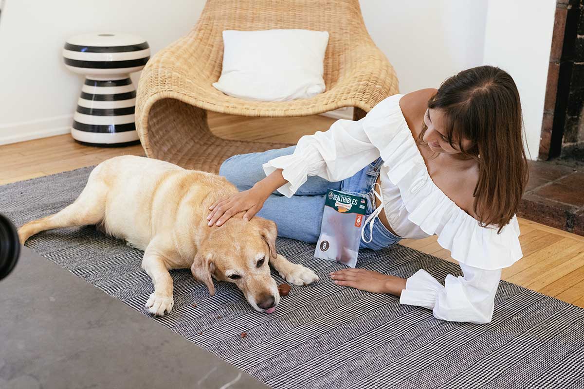 dog eating a treat near his human