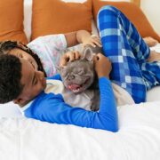 happy french bully with family