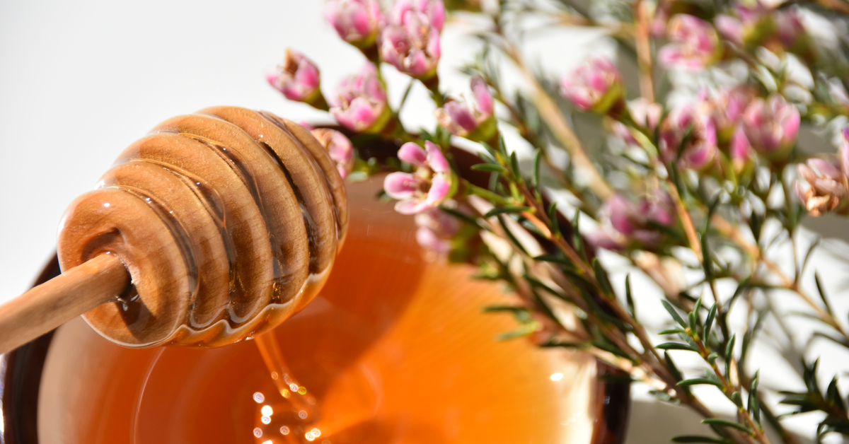 manuka honey for dogs