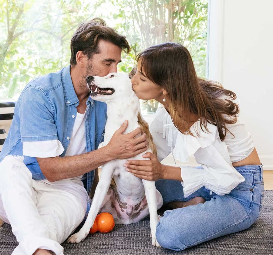 humans loving on their dog