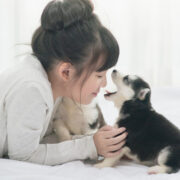 what is puppy breath