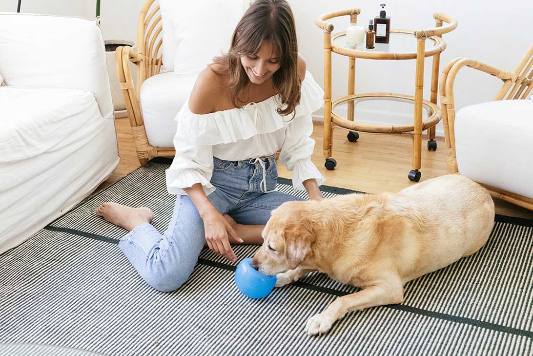 dog treat ball