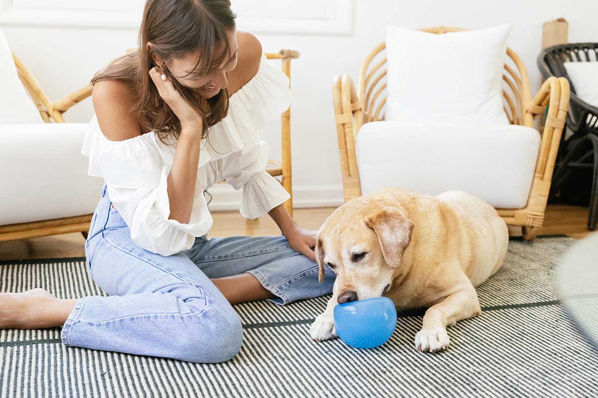 dog treat ball snoop