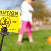 what toxins can cause seizures in dogs
