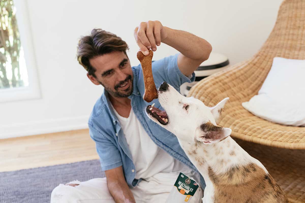high value dog treats