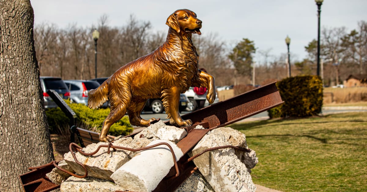 Remembering the 9/11 Dogs 20 Years Later
