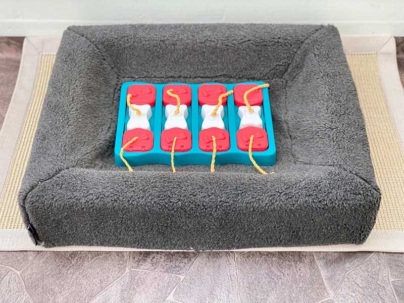 dog puzzle in a dog bed