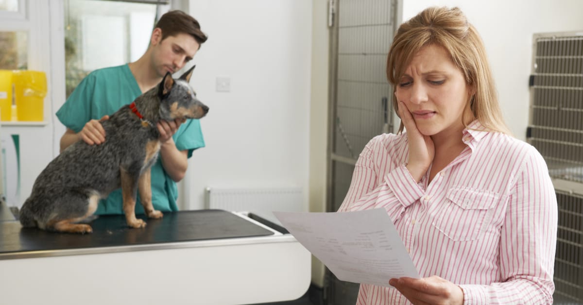 help with vet bills