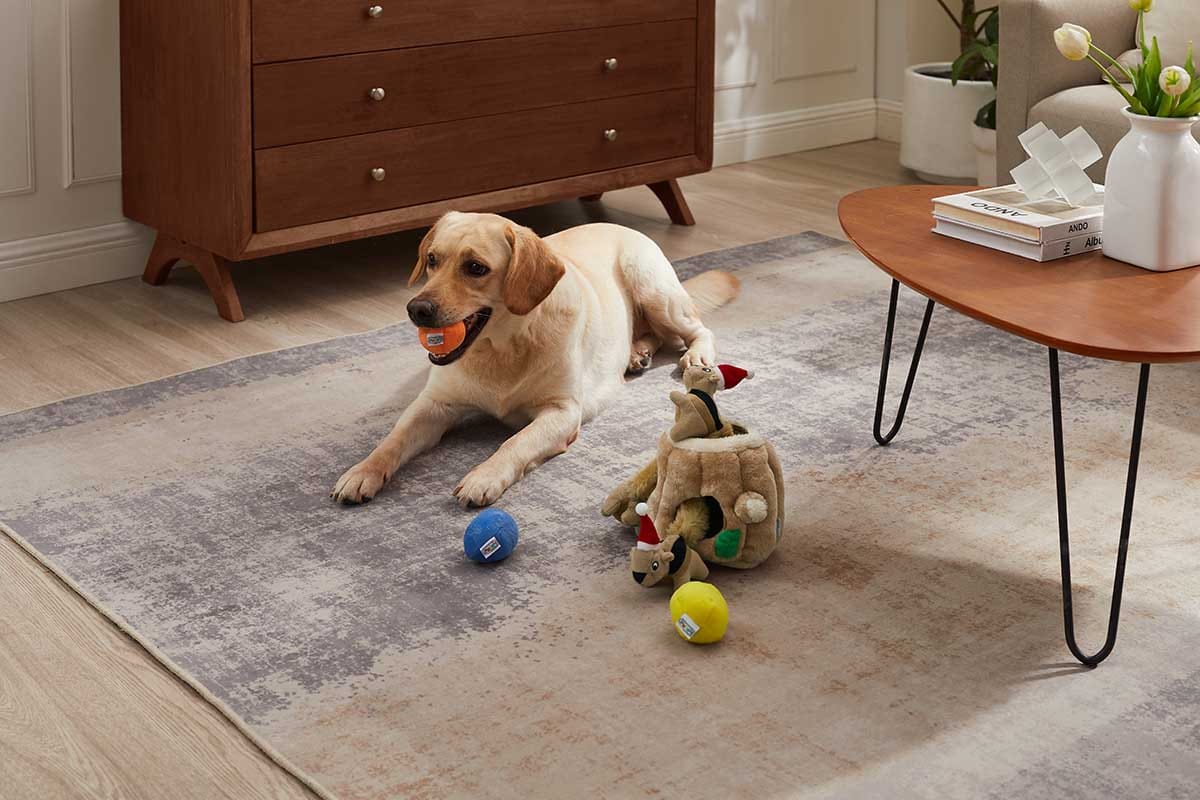 dog christmas puns. lab on floor with toys