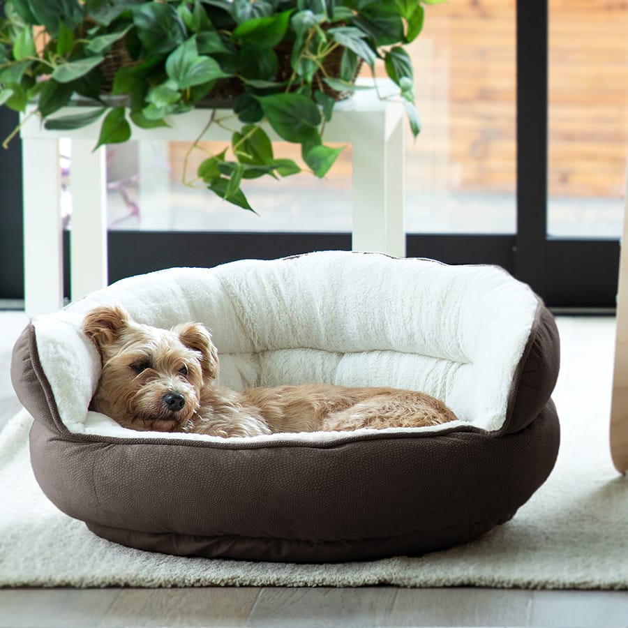 throne pet bed