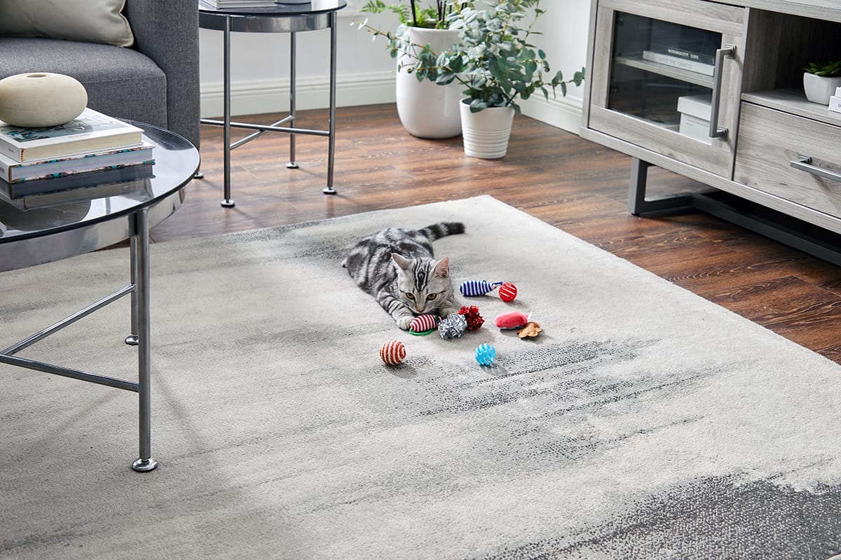 christmas cat toys