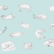 cat sleeping positions