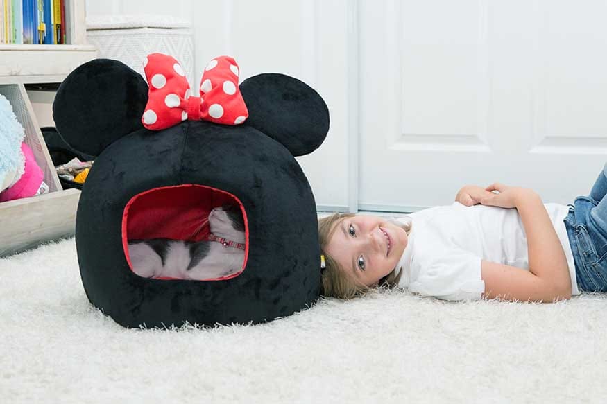 novelty pet hut