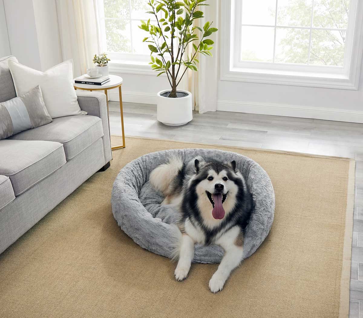 best toys for huskies
