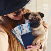pug dog at airport
