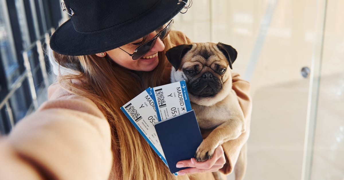 Q&A With a Dog Travel Agent