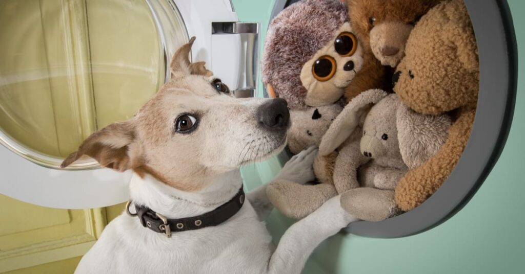 how to wash dog toys