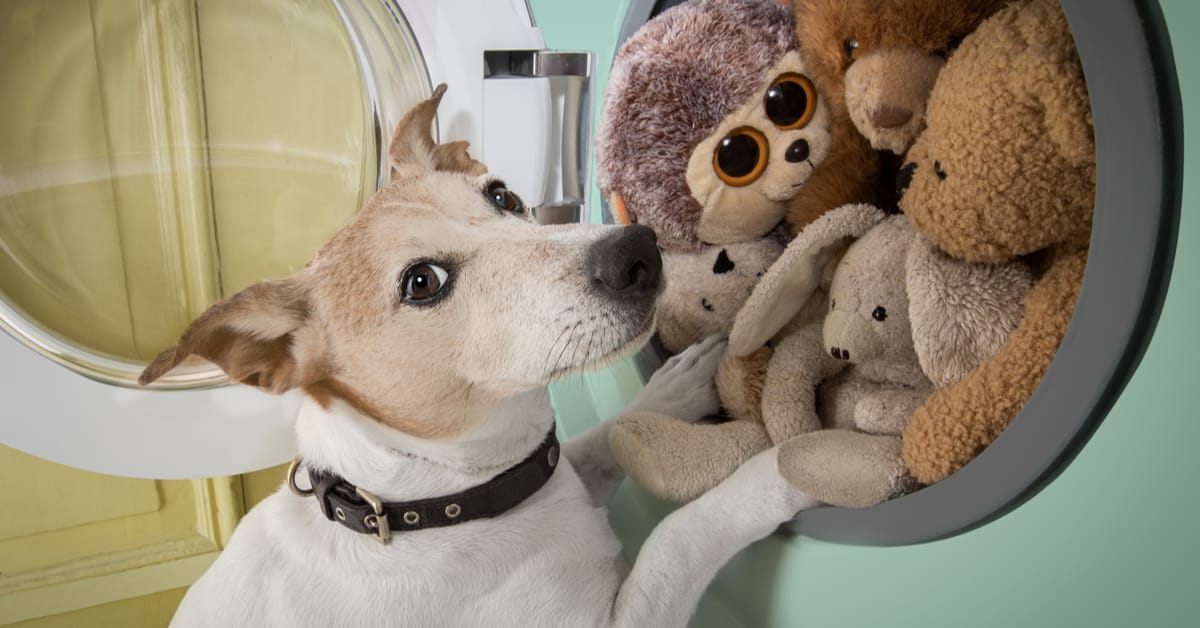 How to Wash Dog Toys & Protect Against Viruses