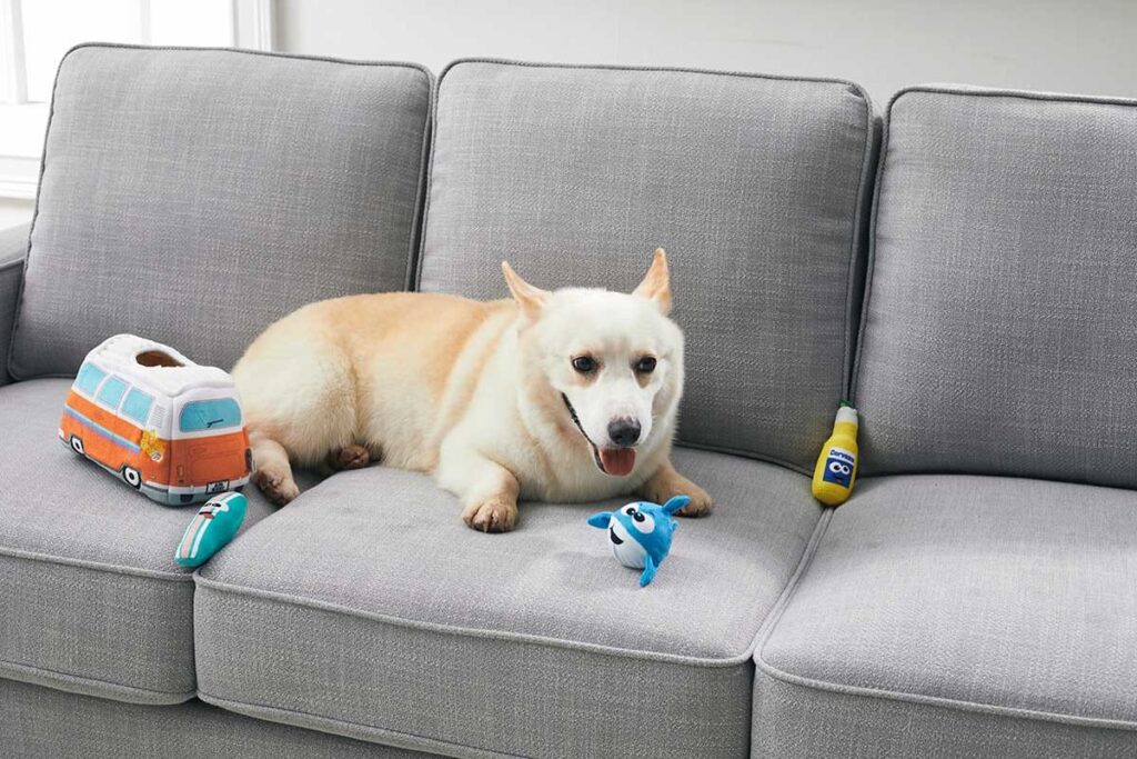 hide and seek dog toys