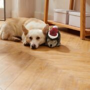 dog christmas puns corgi