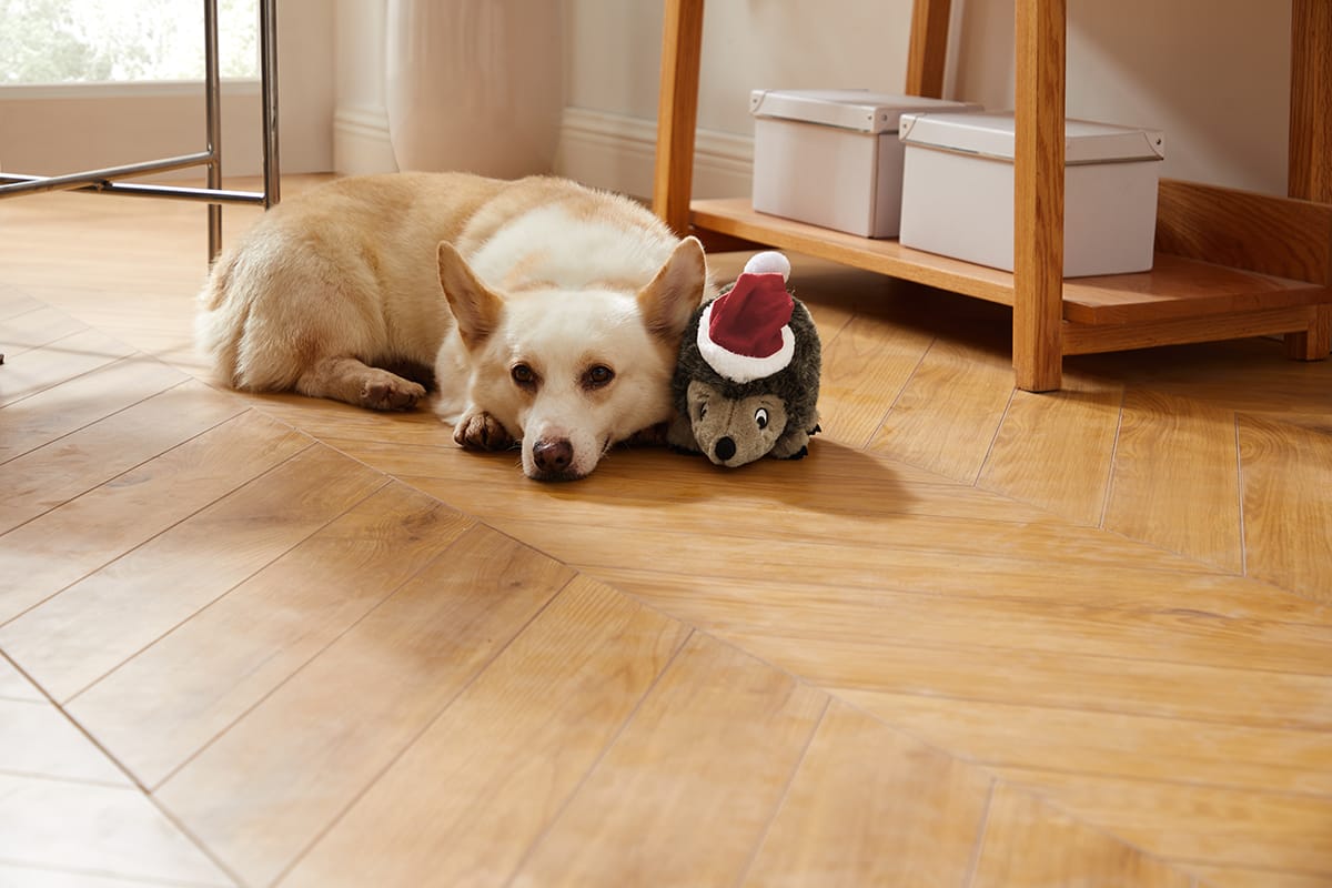 Dog Christmas Puns No One Asked For