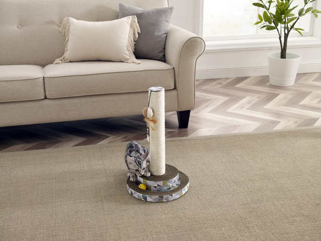 cat scratching post
