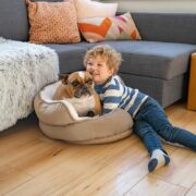 dog and child. stylish dog beds