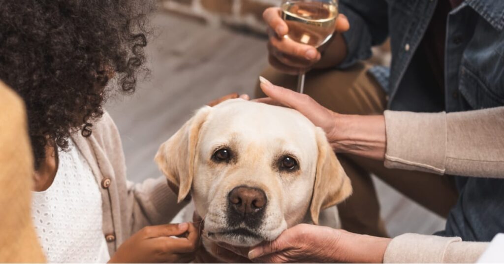 dog with family members petting him at a gathering