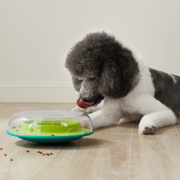 dog-games-difficulty-levels