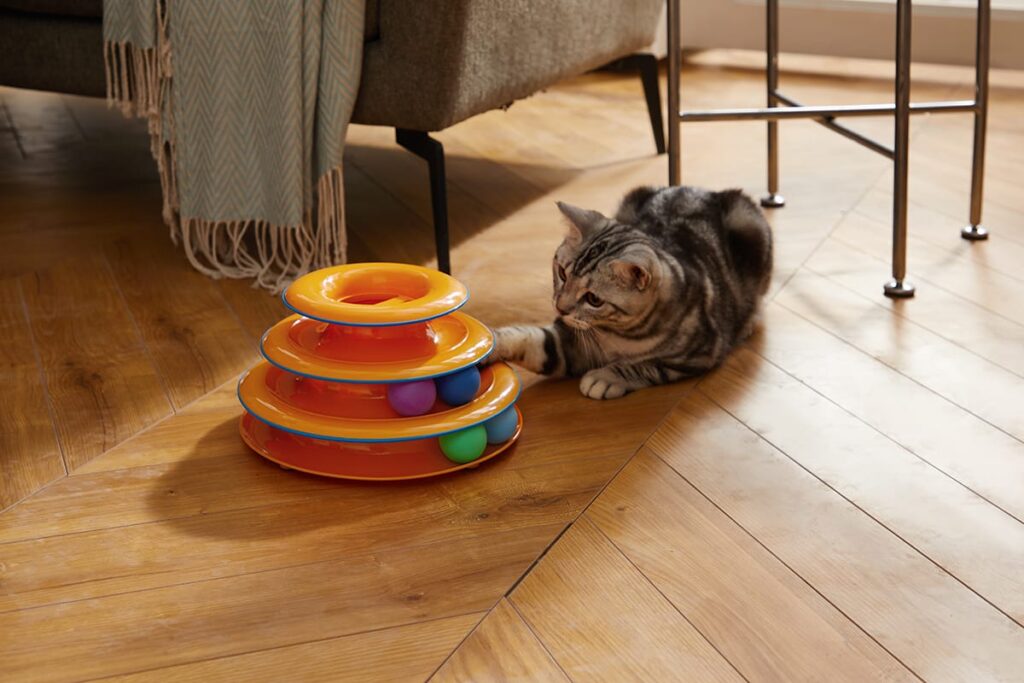 cat track toy