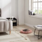 kitten on a cat bed. how to introduce a new kitten to a cat