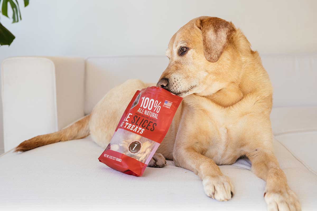 The Best Dog Treats for Sensitive Stomachs
