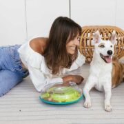 dog and woman relationship